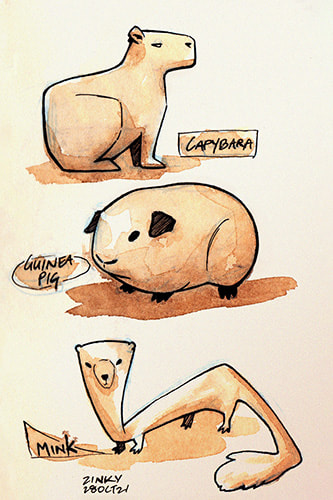 experimenting with shapes